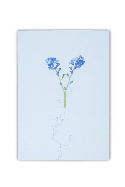 send with fox placestore 16a