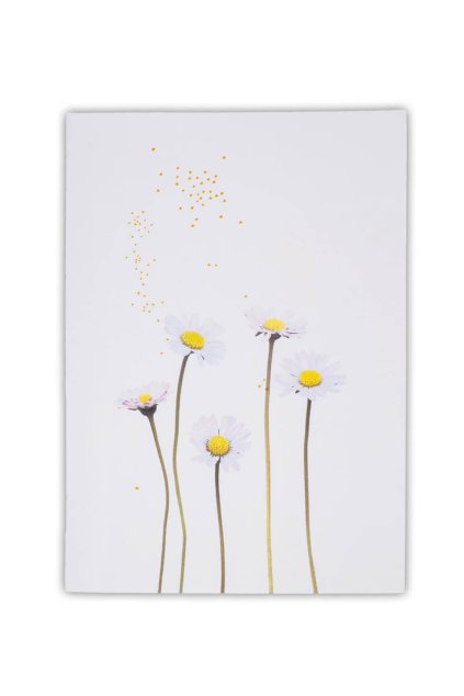 send with fox placestore 17a