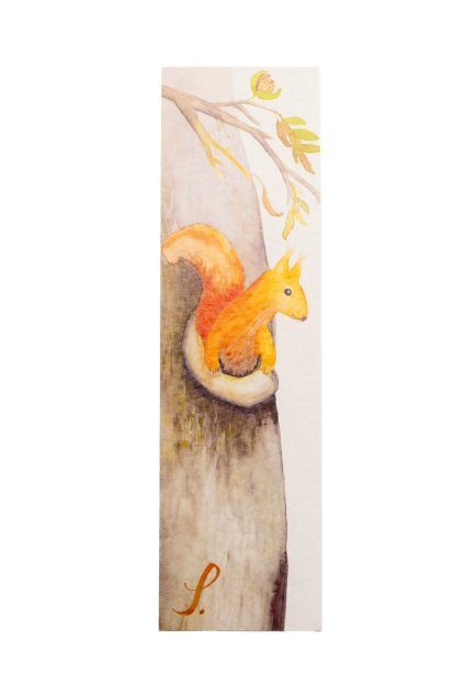 sona samlik placestore 4