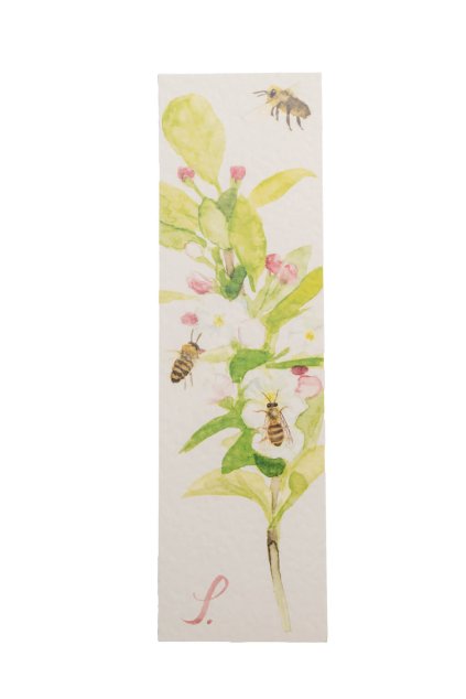 sona samlik placestore 5