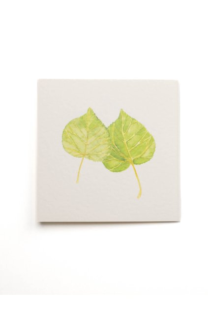 sona samlik placestore 4