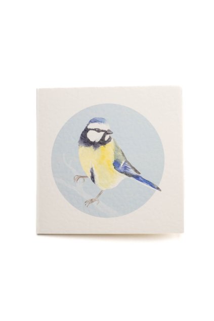 sona samlik placestore 5