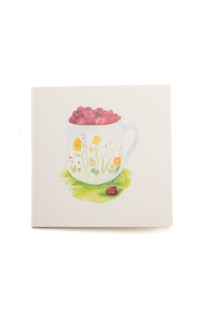 sona samlik placestore 10