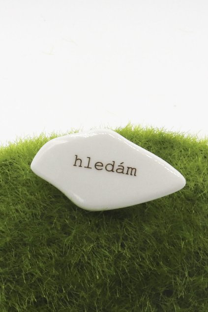 hledám1