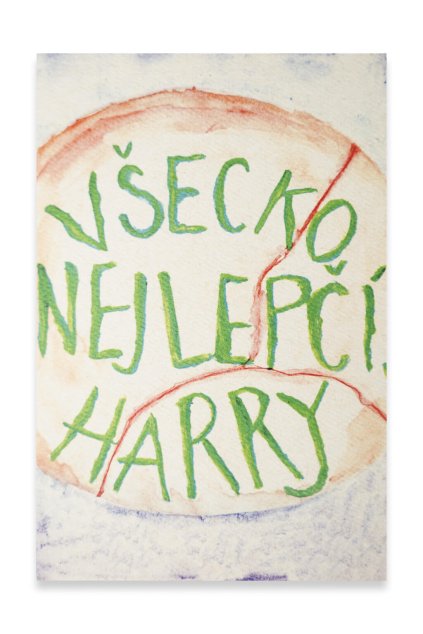 20652 047 vsecko nejlepci harry