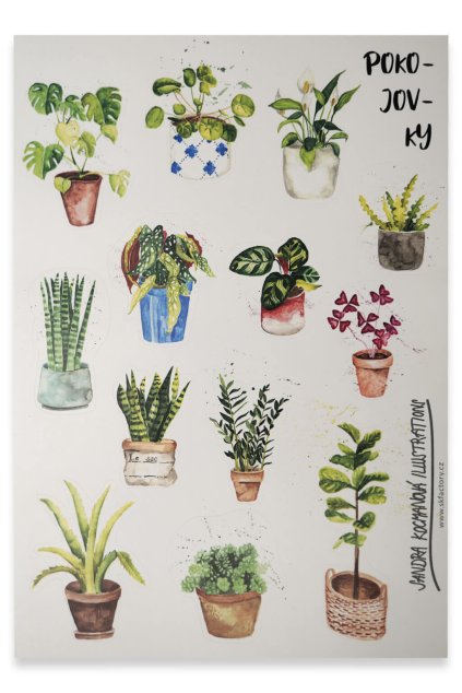 20679 samolepky pokojovky