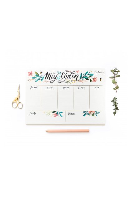 planovac chaukiss tyden