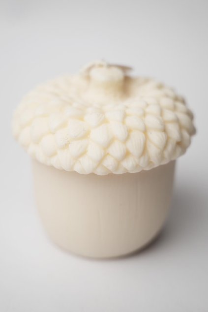 22055 acorn nut
