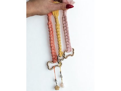 cc18ef34 7c3a 4f28 bbcc b157b3837665