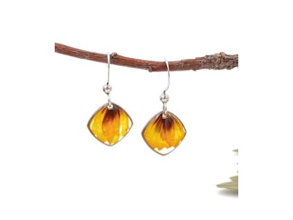 Náušnice slniečkové