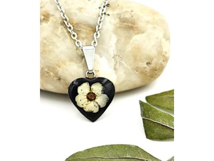 Živicový náhrdelník, tavoľník