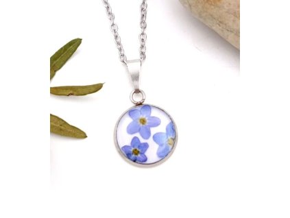 Živicový náhrdelník, Nezábudky