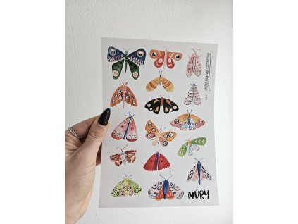 Samolepky, motýľ