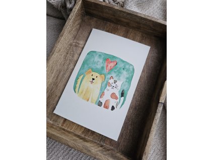 Prianie, pes a mačka