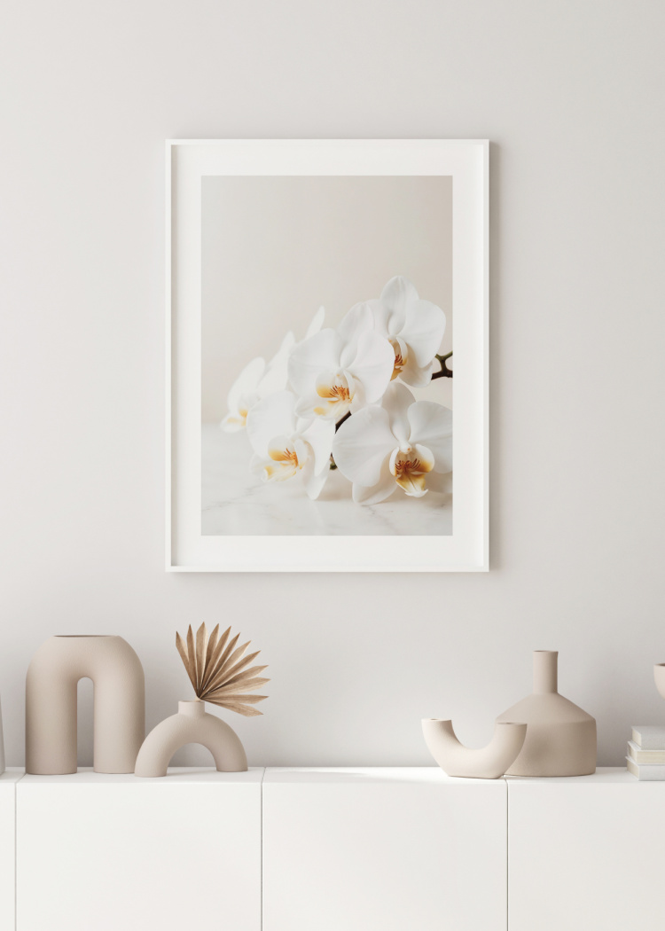 plakaty rostliny elegantni bila orchidej 02