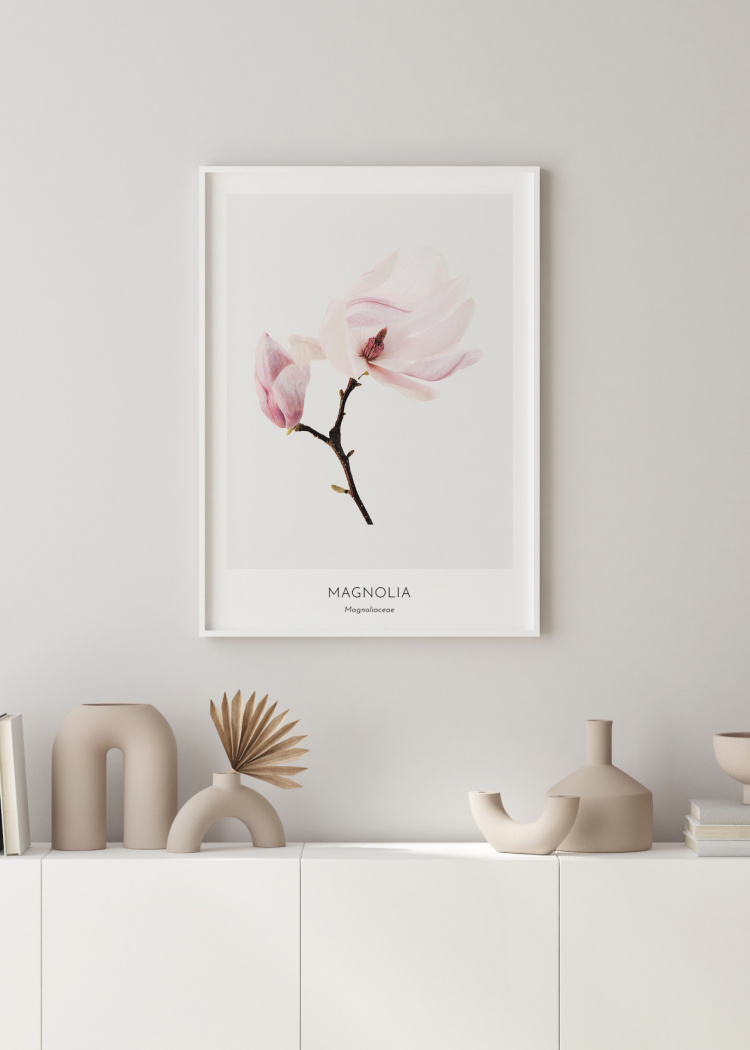 plakat rostliny magnolia 02