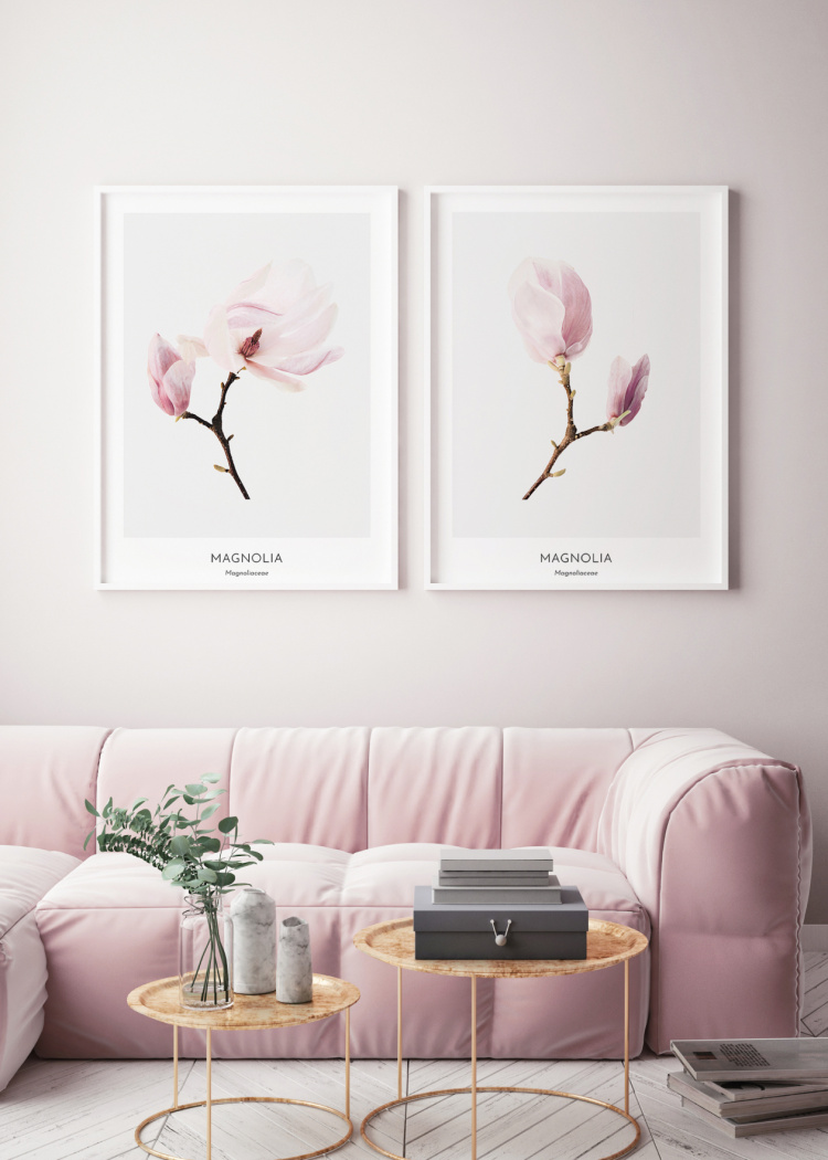 plakat rostliny magnolia 03