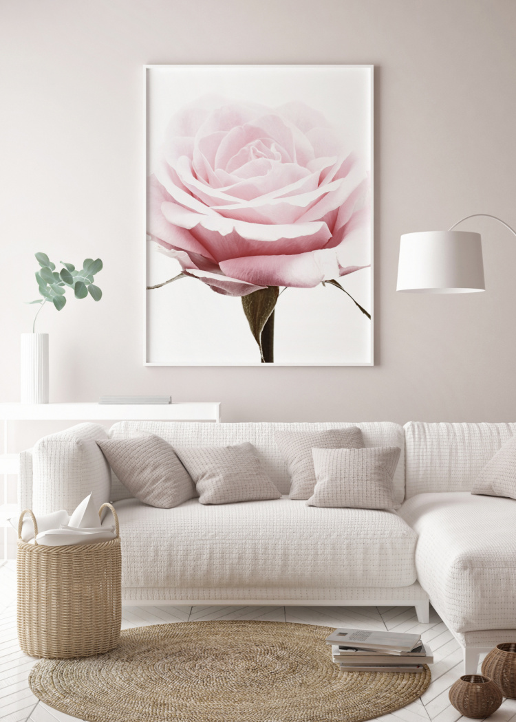 plakat rostliny detail ruze 02