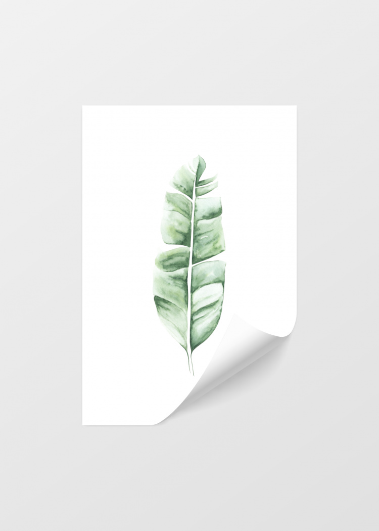 plakat rostliny tropicke listy I 04