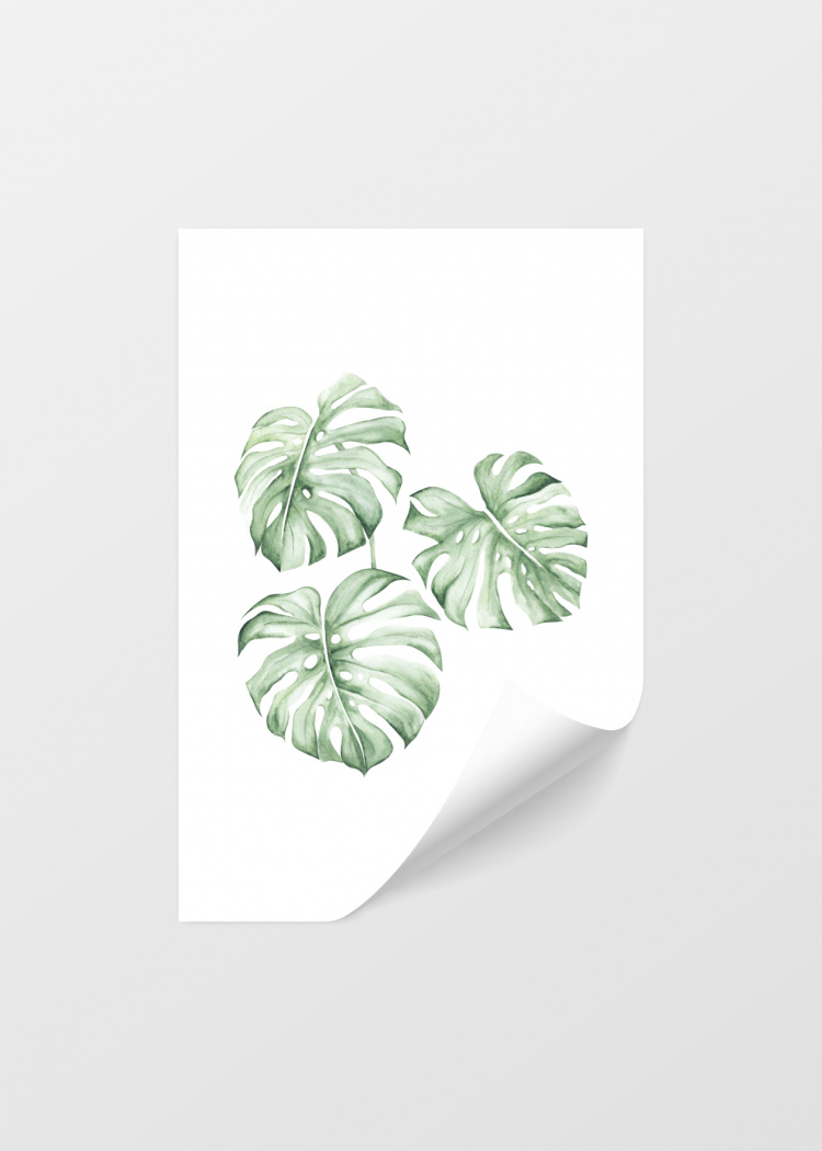plakat rostliny tropicke listy III 04