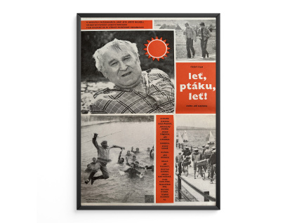 10037 2 let ptaku let verze 1 filmovy plakat a3