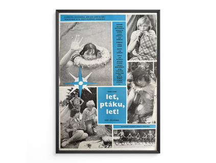 10040 2 let ptaku let verze 2 filmovy plakat a3