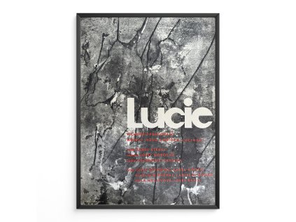 10178 2 lucie filmovy plakat a3
