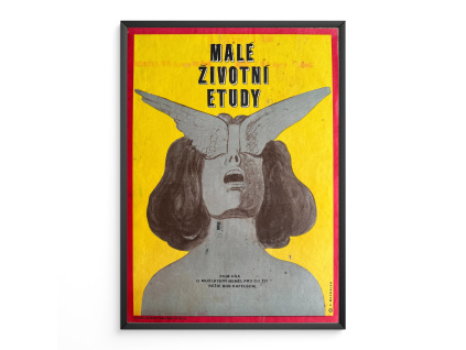 10271 1 male zivotni etudy filmovy plakat a3