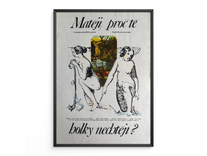 10370 1 mateji proc te holky nechteji verze 1 filmovy plakat a3