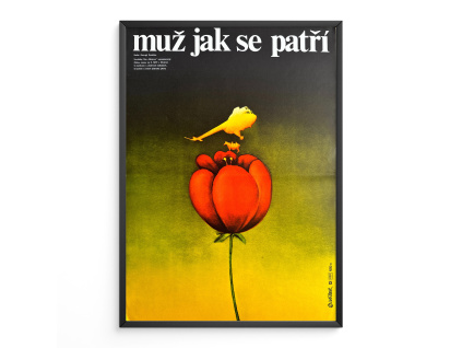 10757 1 muz jak se patri filmovy plakat a3