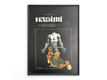 11045 2 nasimi filmovy plakat a3