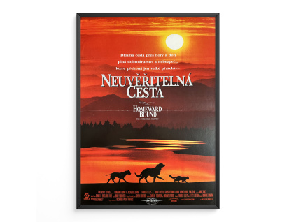 11351 2 neuveritelna cesta filmovy plakat a3