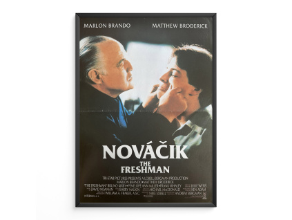 11513 2 novacik filmovy plakat a3