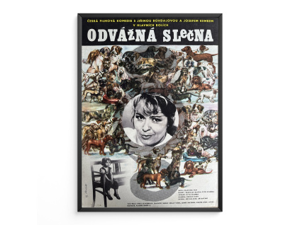 11663 2 odvazna slecna filmovy plakat a3