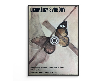 11702 2 okamziky svobody filmovy plakat a3