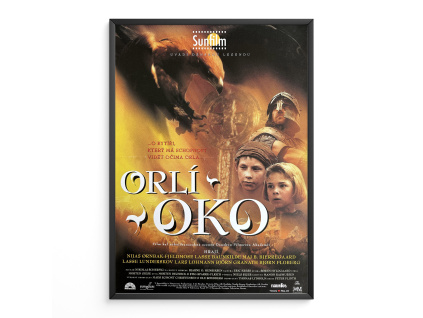 11768 2 orli oko filmovy plakat a3