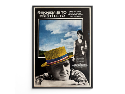 11948 2 reknem si to pristi leto verze 2 filmovy plakat a3