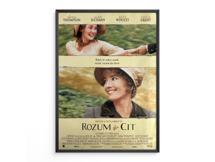 12098 2 rozum a cit filmovy plakat a3