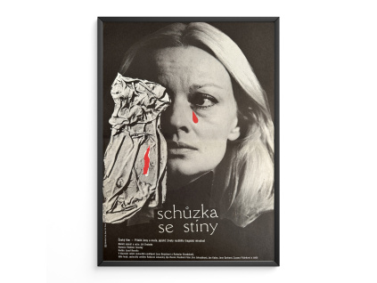 12233 2 schuzka se stiny verze 1 filmovy plakat a3