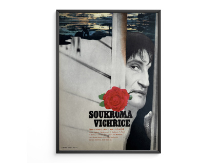12626 2 soukroma vichrice filmovy plakat a3