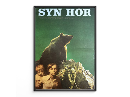 12932 2 syn hor filmovy plakat a3