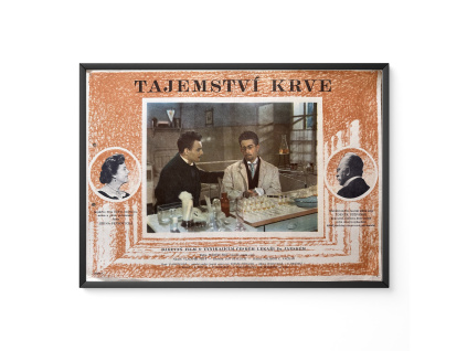 13076 2 tajemstvi krve filmovy plakat a3