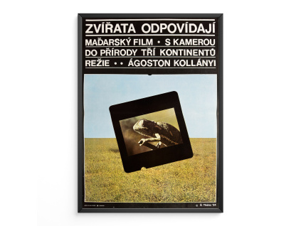 Zvířata odpovídají - Filmový plakát (A3)
