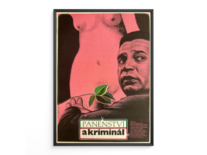 15014 2 panenstvi a kriminal filmovy plakat a3