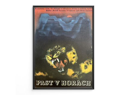 15110 2 past v horach filmovy plakat a3