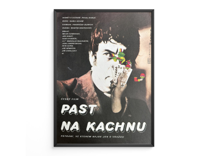 15116 2 past na kachnu verze 1 filmovy plakat a3