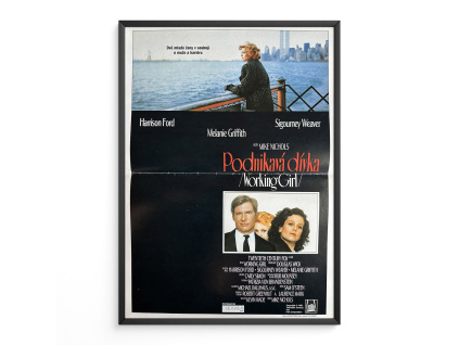 15413 2 podnikava divka filmovy plakat a3