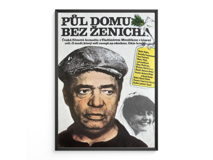 16130 2 pul domu bez zenicha filmovy plakat a3