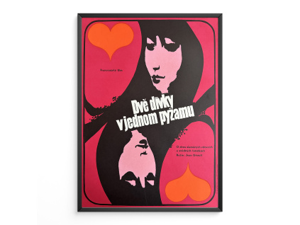 17276 2 dve divky v jednom pyzamu filmovy plakat a3