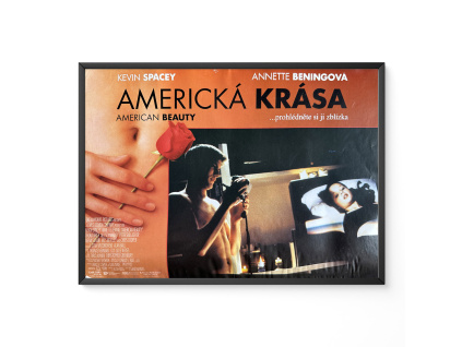 Americká krása - Verze 1 - Filmový plakát / Fotoska / Slepka (cca A4)